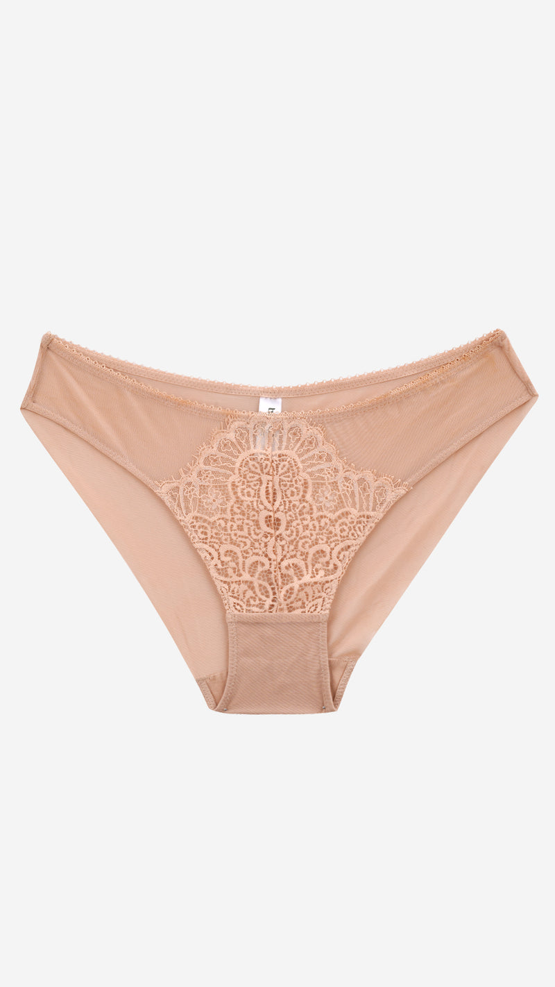 Sheer Mesh Lace Medallion Brief | Bridal Panty