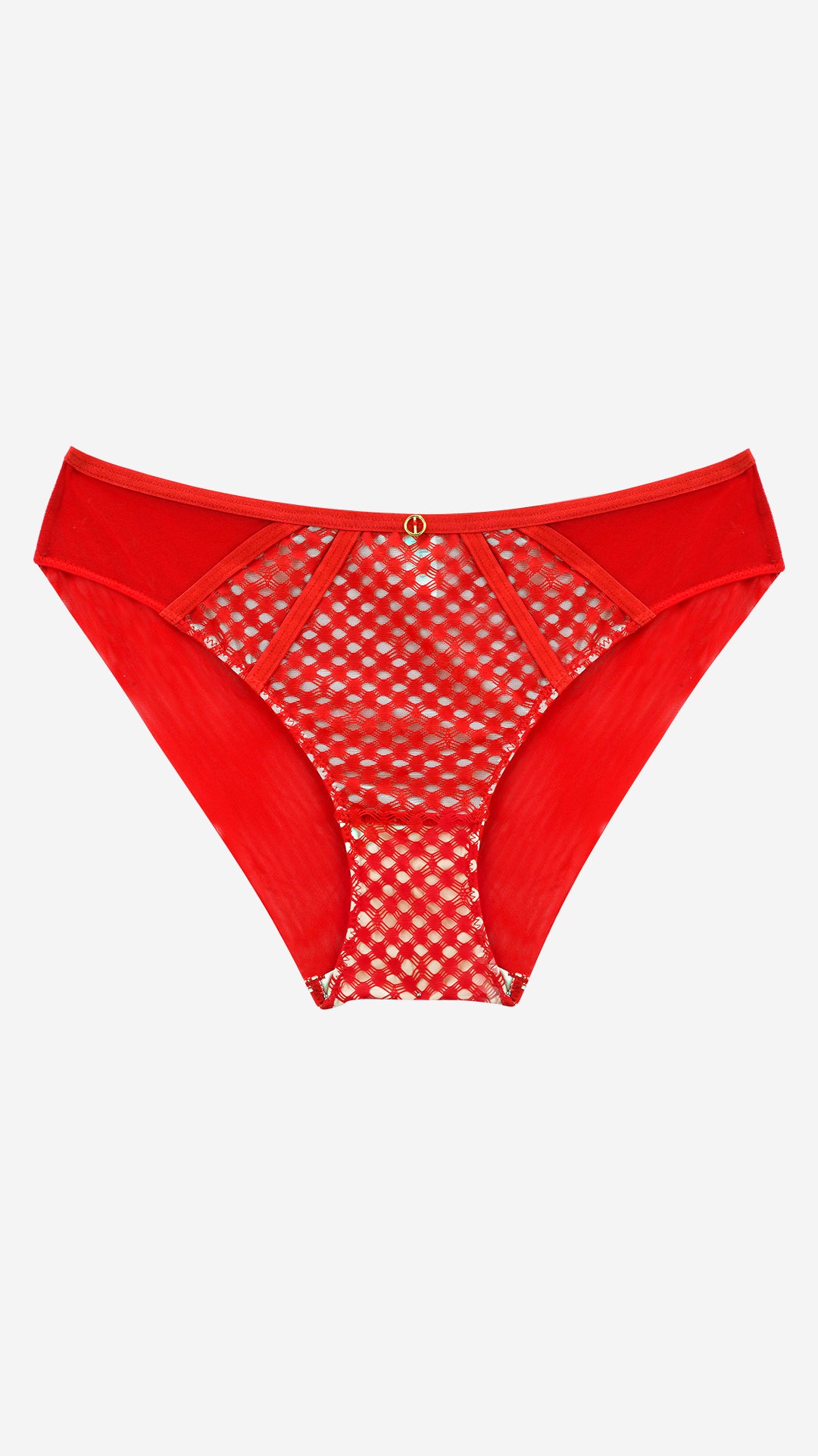 Mesh Bikini Brief | Statement Panty