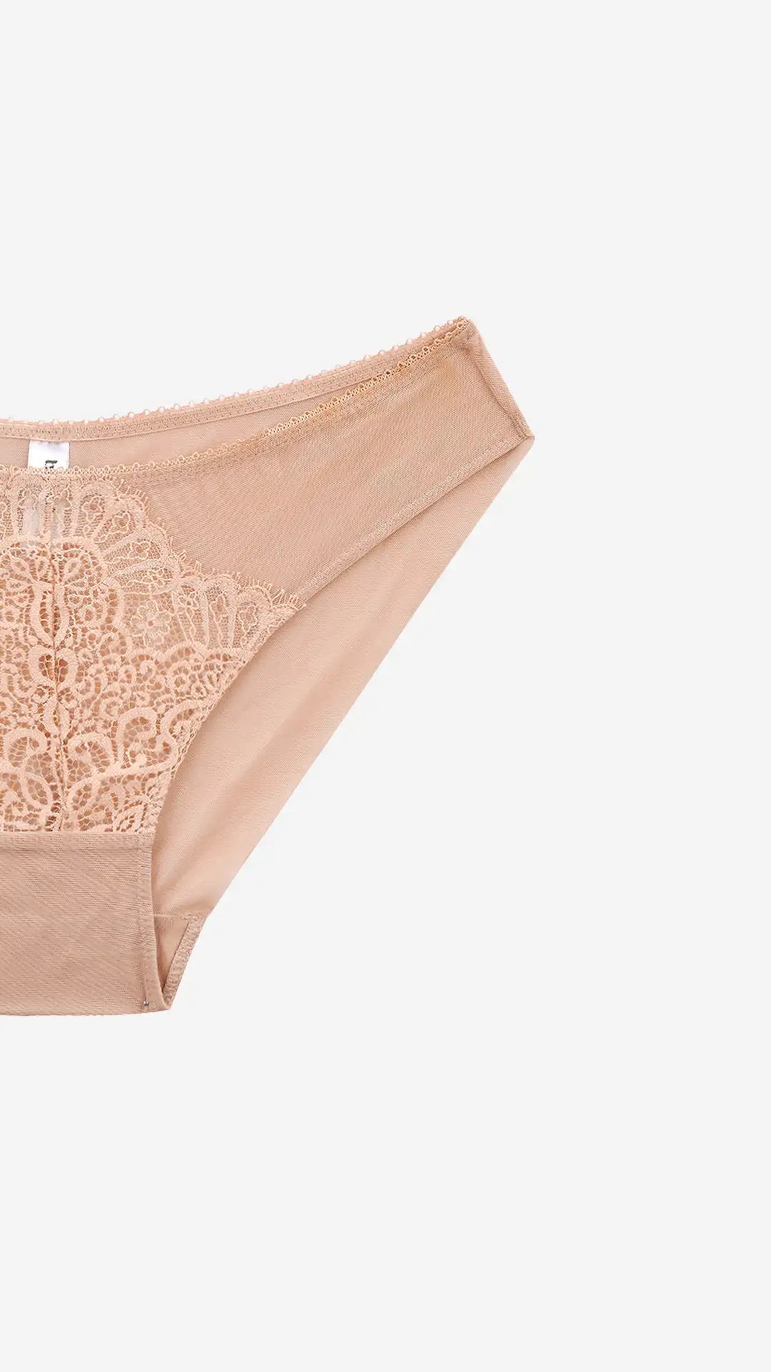 Savvyy PANTY-7xxxxxx1 Elegant Lace Mid Coverage Bikini Brief Panty With Everyday Comfort - SKIN