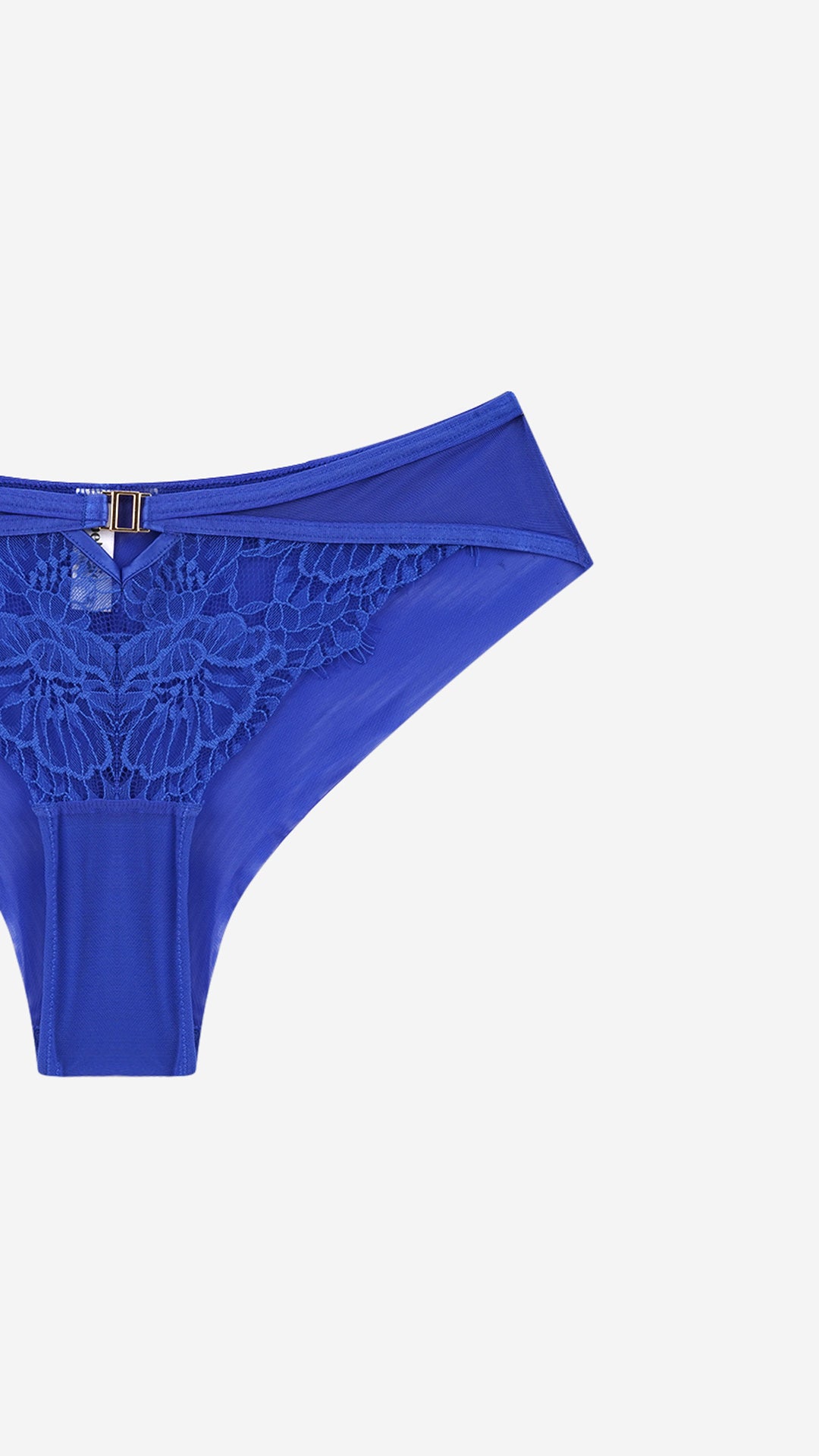 Floral Lace Bikini Panty | Cut-Out Front Brief