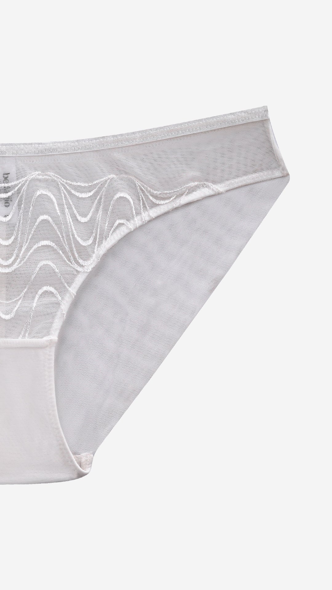 Sheer Net Classic Brief | Wave-Embroidered Mesh Panty