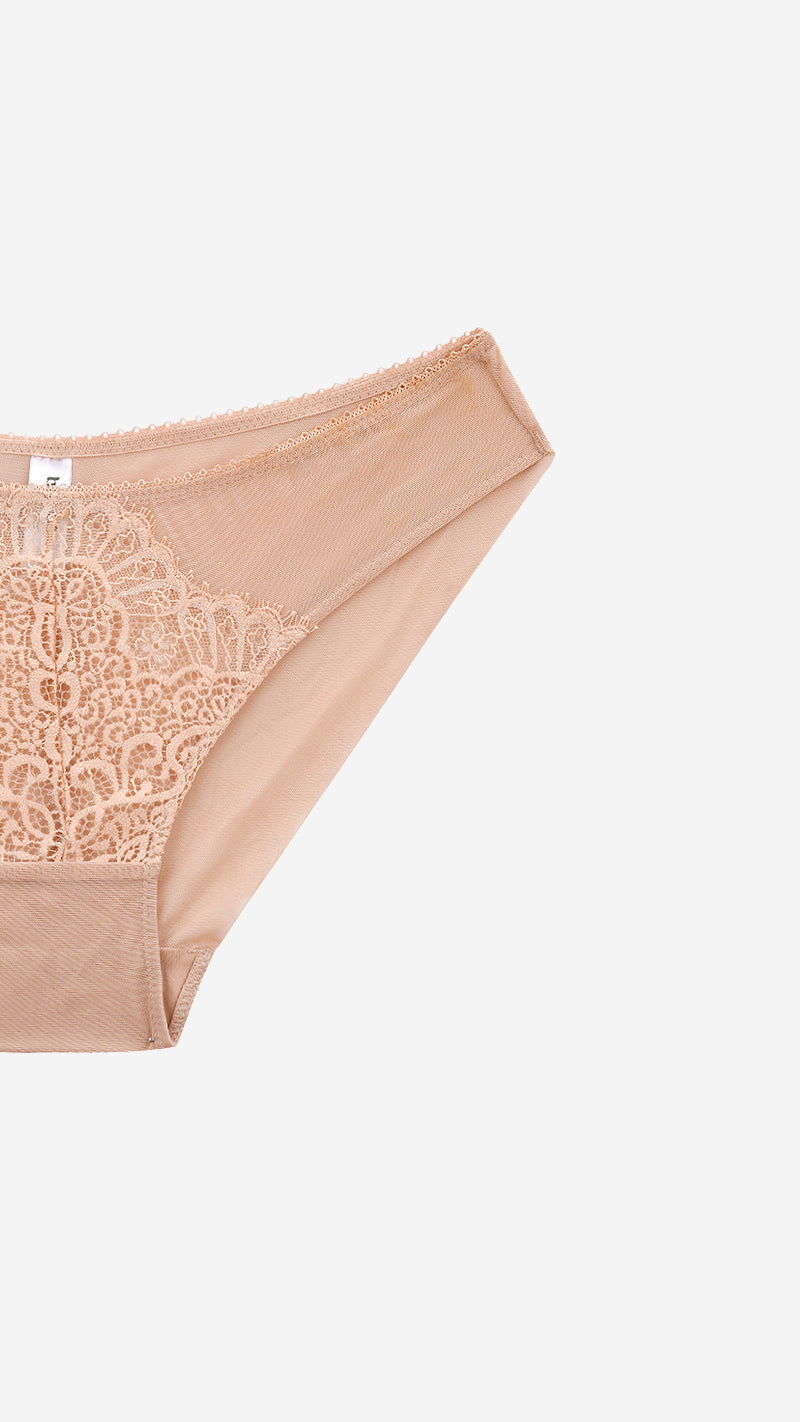 Sheer Mesh Lace Medallion Brief | Bridal Panty