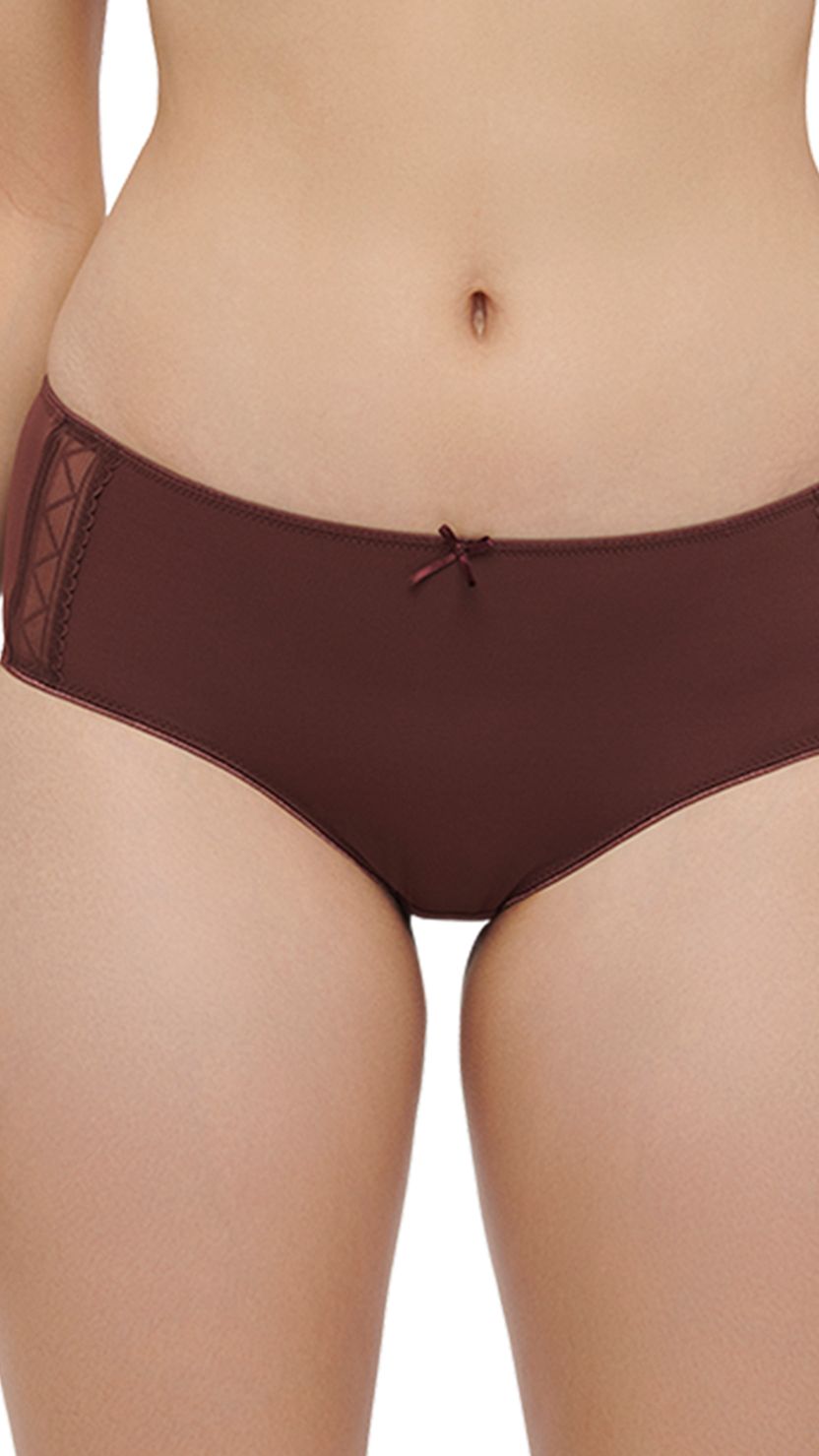 Triumph Brown Zigzag Mesh Hipster Brief With Bow Detail