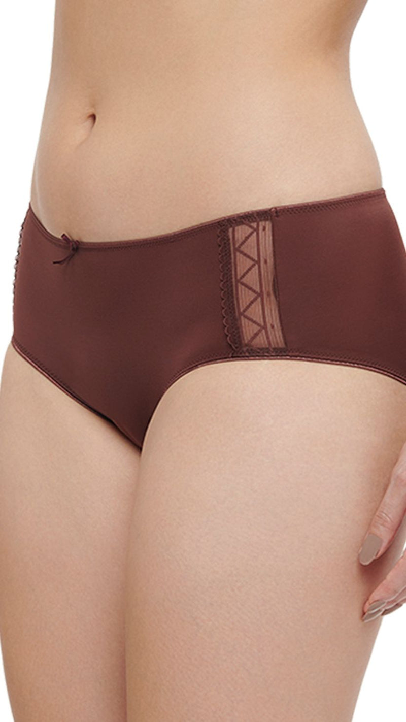 Triumph Brown Zigzag Mesh Hipster Brief With Bow Detail