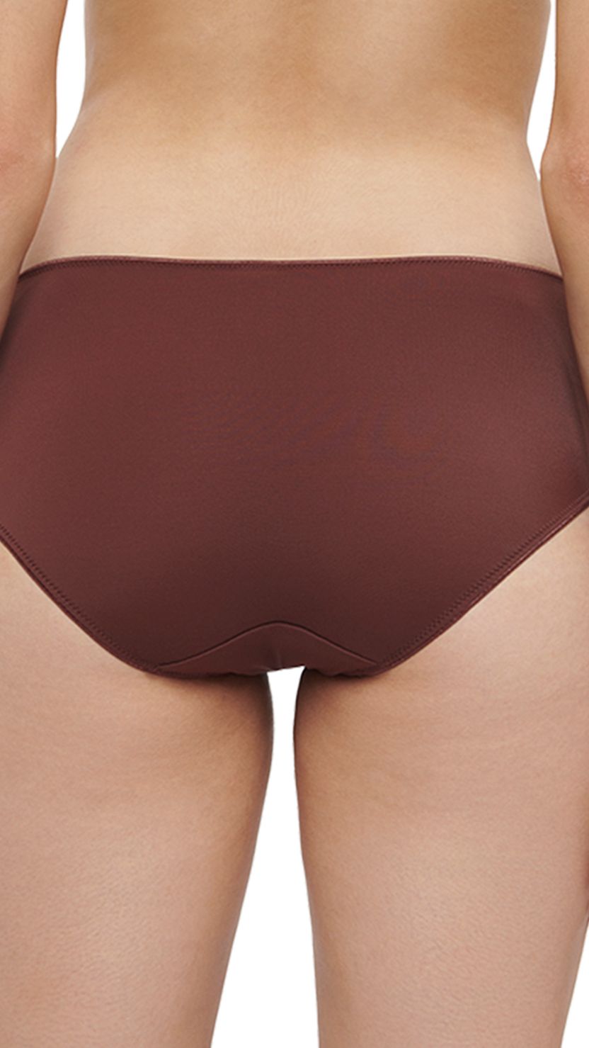 Triumph Brown Zigzag Mesh Hipster Brief With Bow Detail
