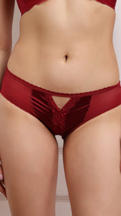 Satin Mesh Lace Brief | Cut-Out Detail Panty