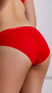 Rhinestone Emblem Sheer Panel Bikini Brief | Bold fashion Panty