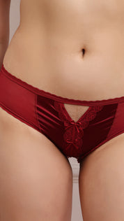 Satin Mesh Lace Brief | Cut-Out Detail Panty