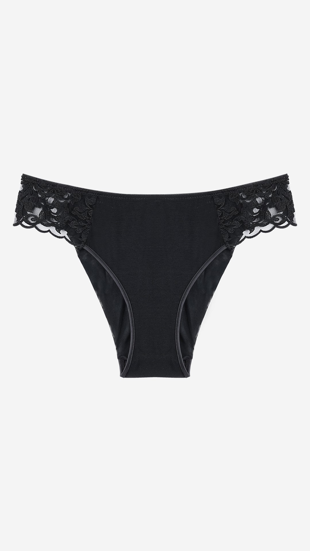 Black Sheer Mesh Bikini Panty with Lace Trim