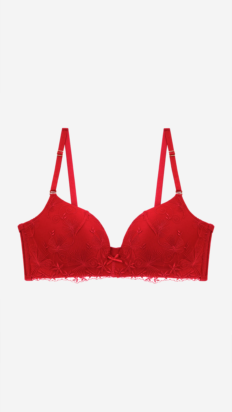 Red Embroidered Plunge Bra