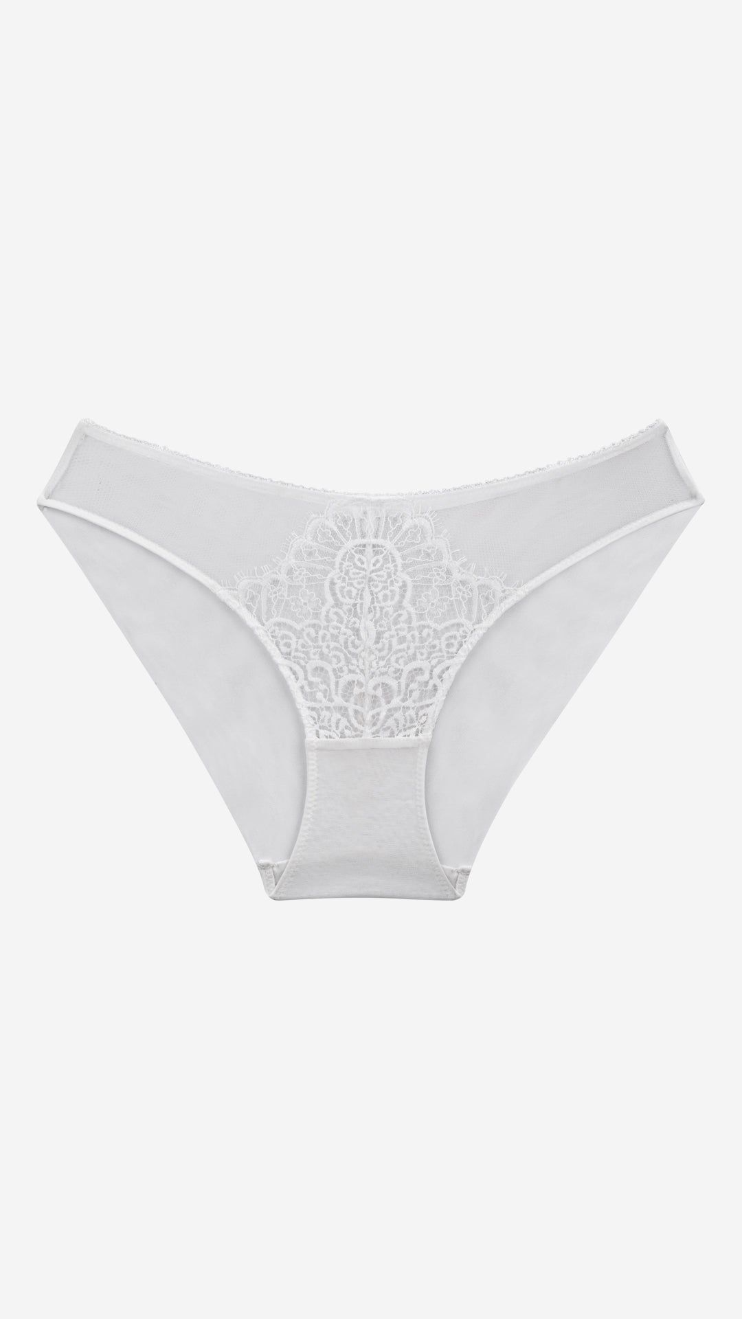 Sheer Mesh Lace Medallion Brief | Bridal Panty