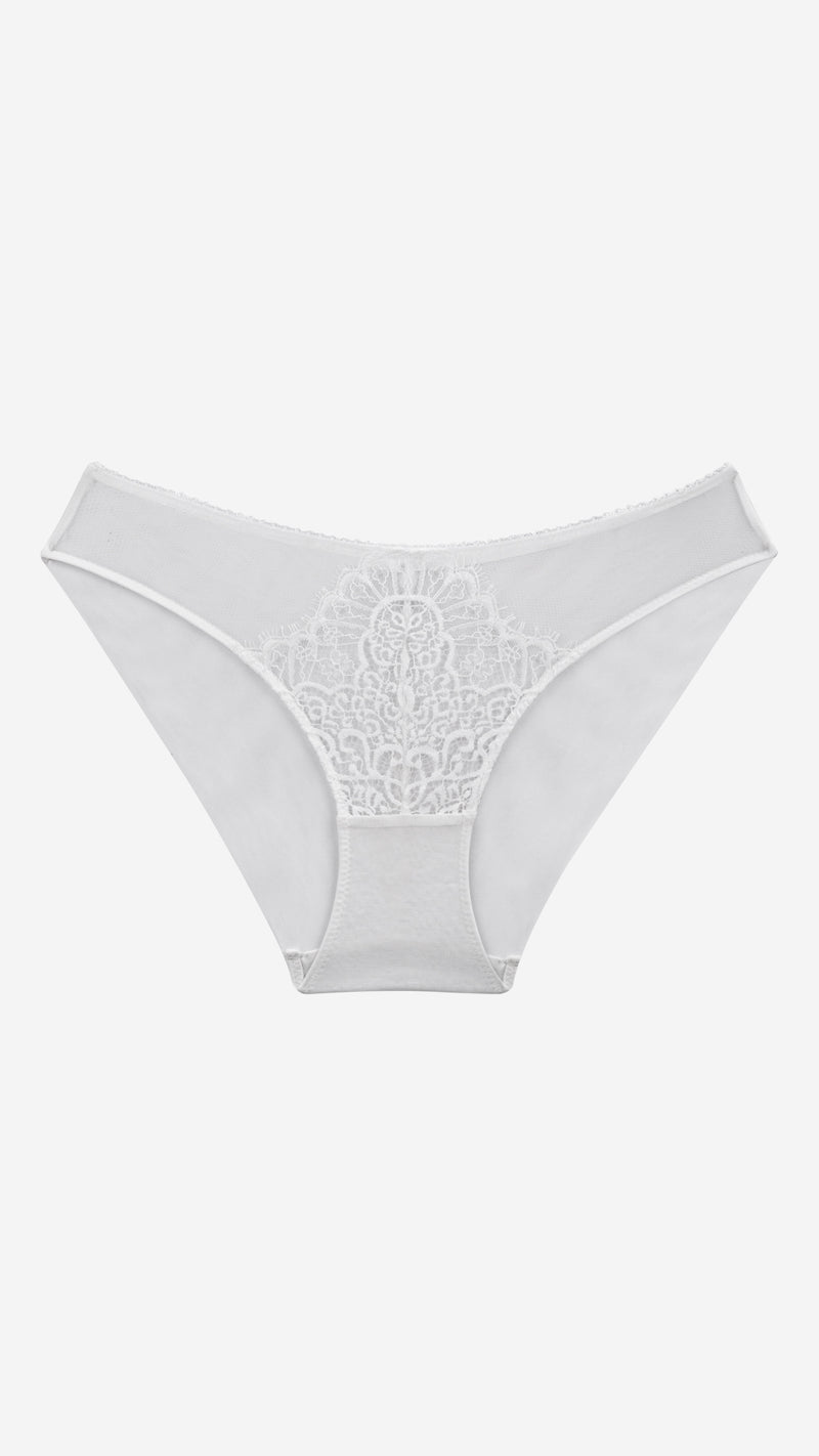 Sheer Mesh Lace Medallion Brief | Bridal Panty