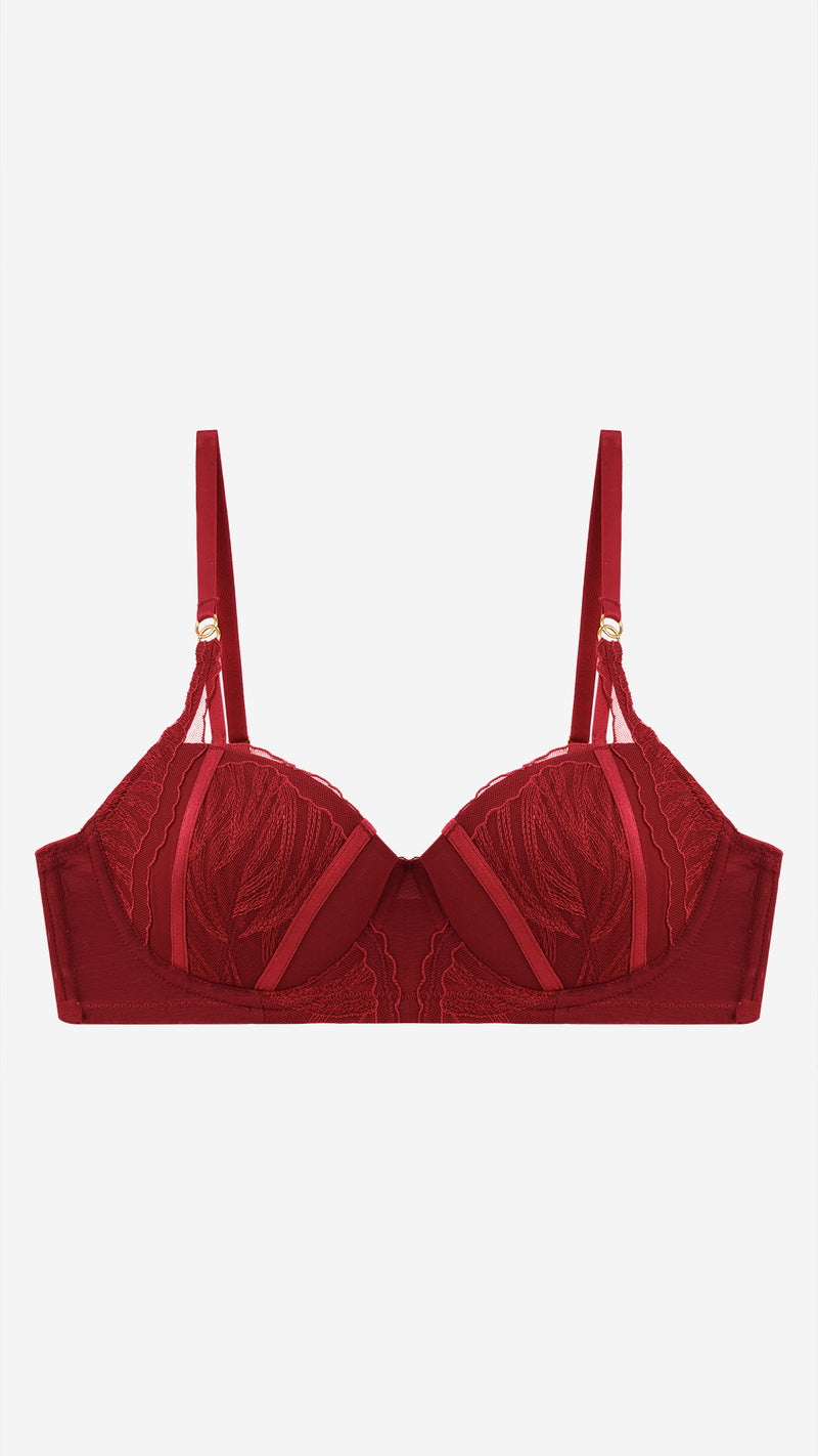 Wine Red Embroidered Lace Push-Up Bra