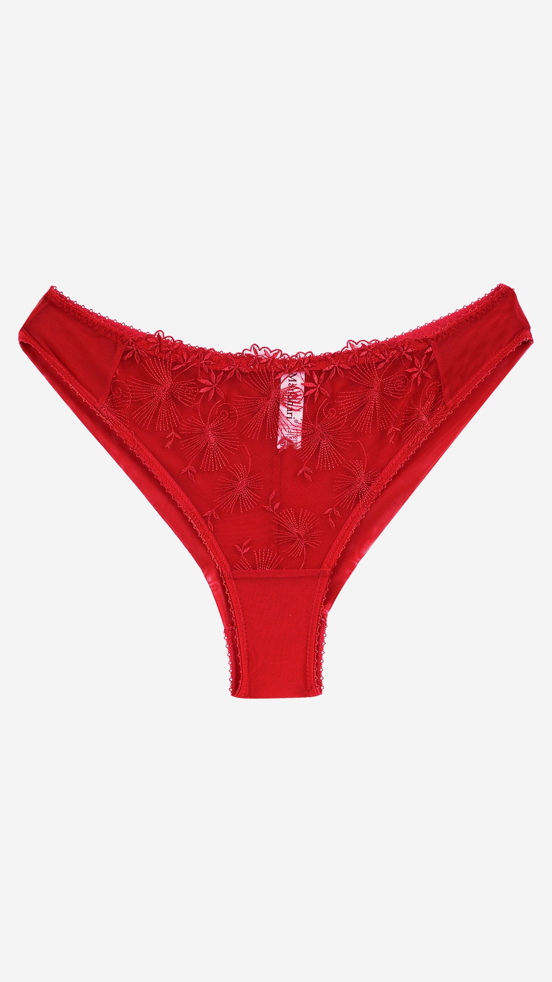 Red Embroidered Lace Bikini Brief