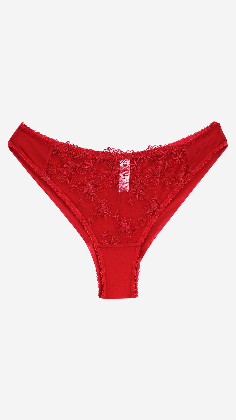 Red Embroidered Lace Bikini Brief