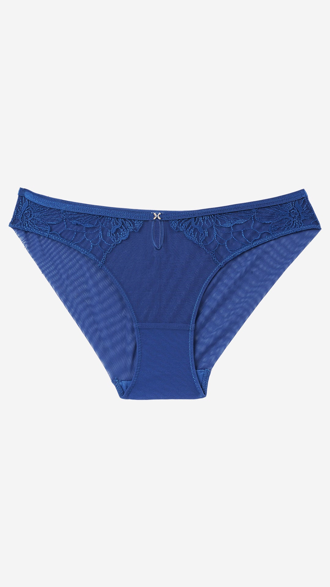 Navy Floral Lace Sheer Bikini Brief