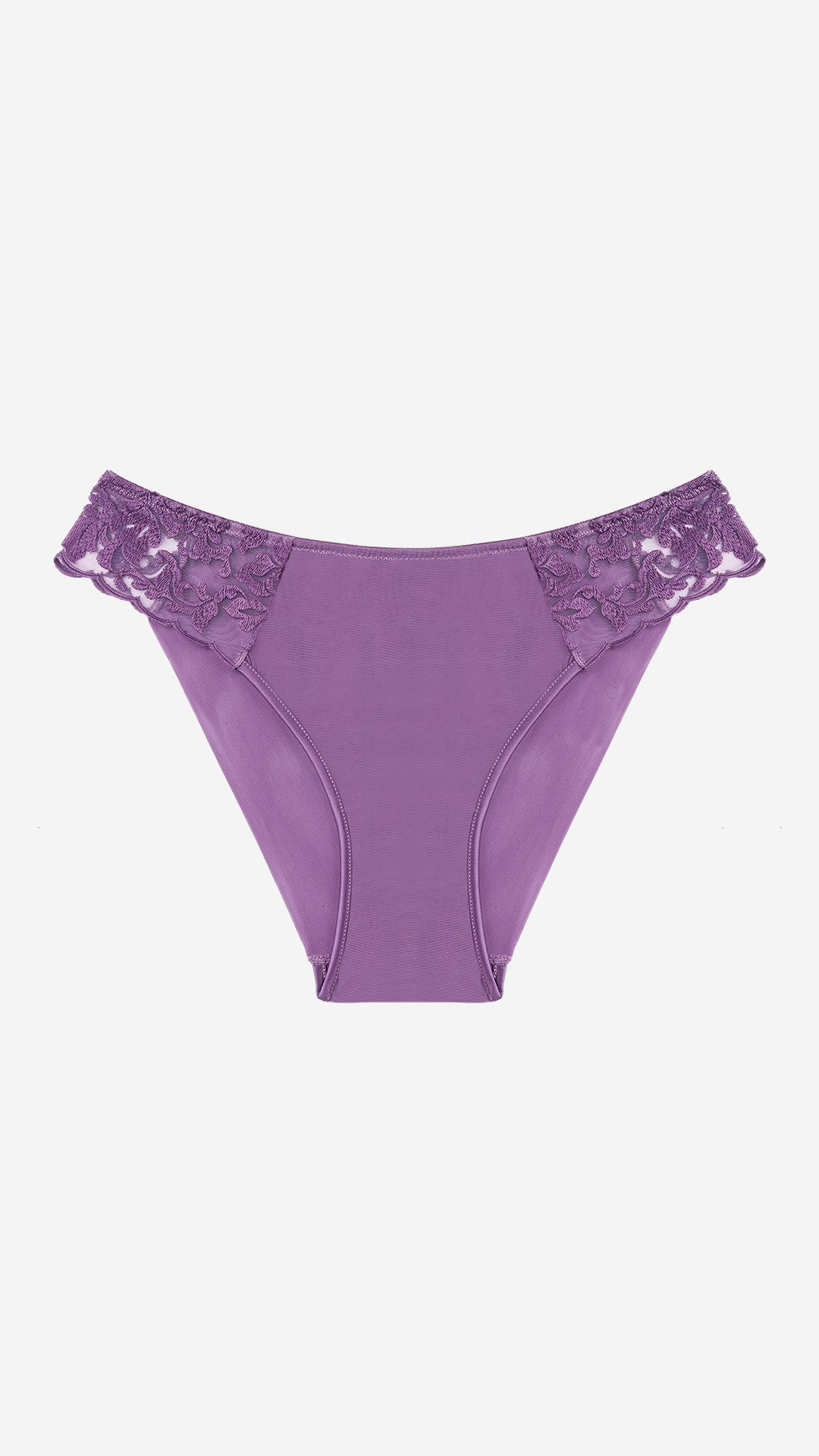 Plum Lace Classic Brief – Sheer Mesh Panty