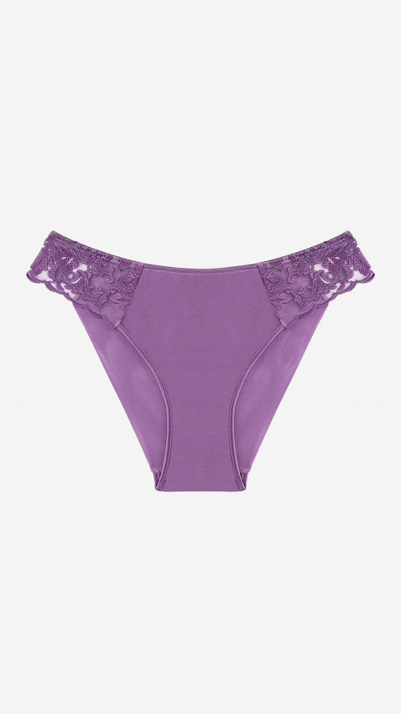 Plum Lace Classic Brief – Sheer Mesh Panty