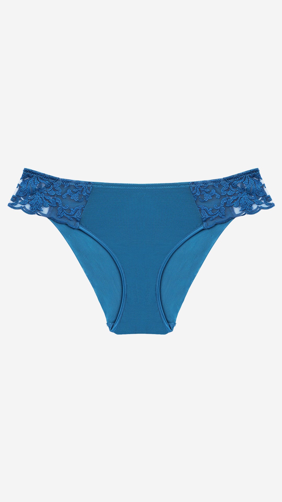 Teal Lace Classic Brief – Sheer Mesh Panty