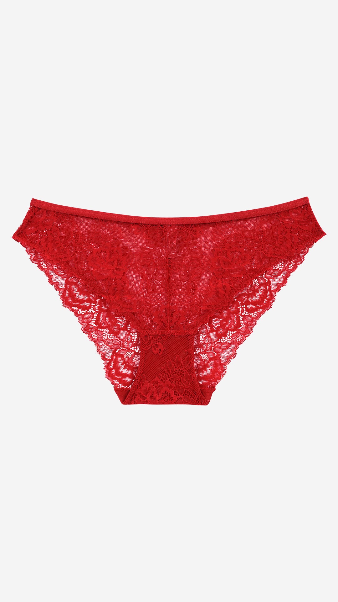 Floral Lace High Coverage Brief | Sheer Net Panty