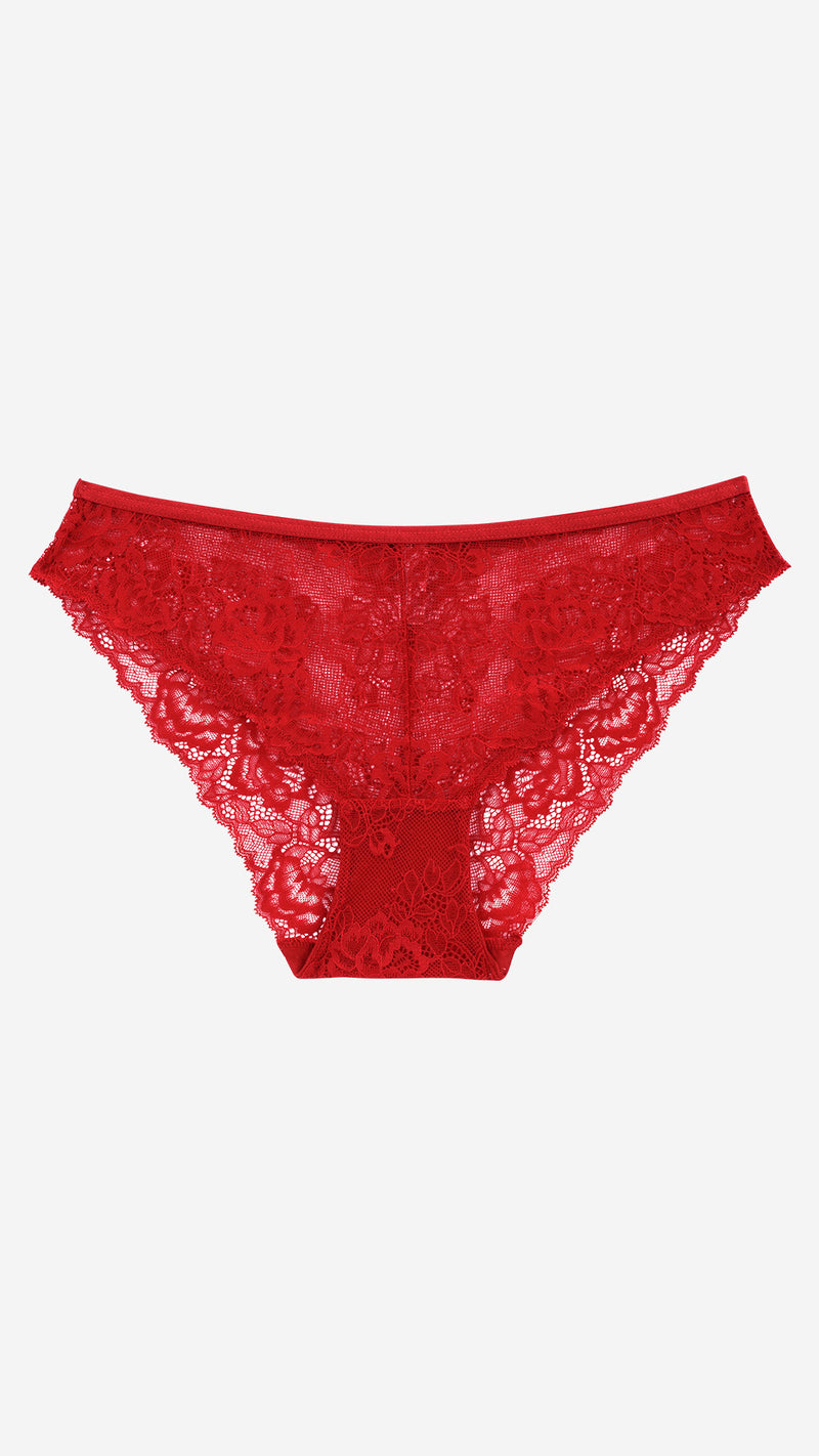 Floral Lace High Coverage Brief | Sheer Net Panty