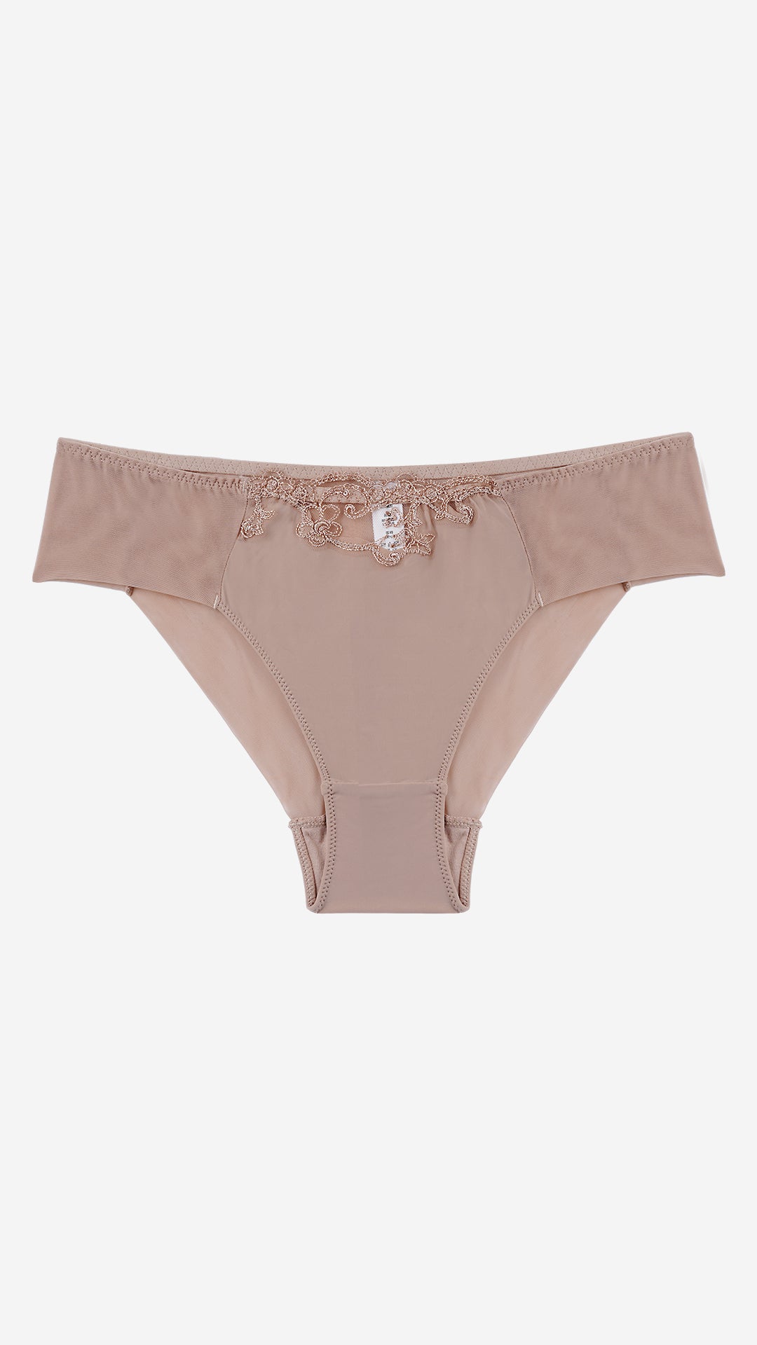 Nude Blush Lace Sheer Panel Classic Brief