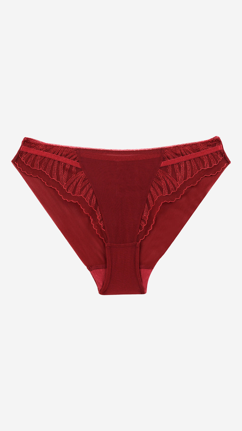 Wine Red Embroidered Lace Bikini Panty