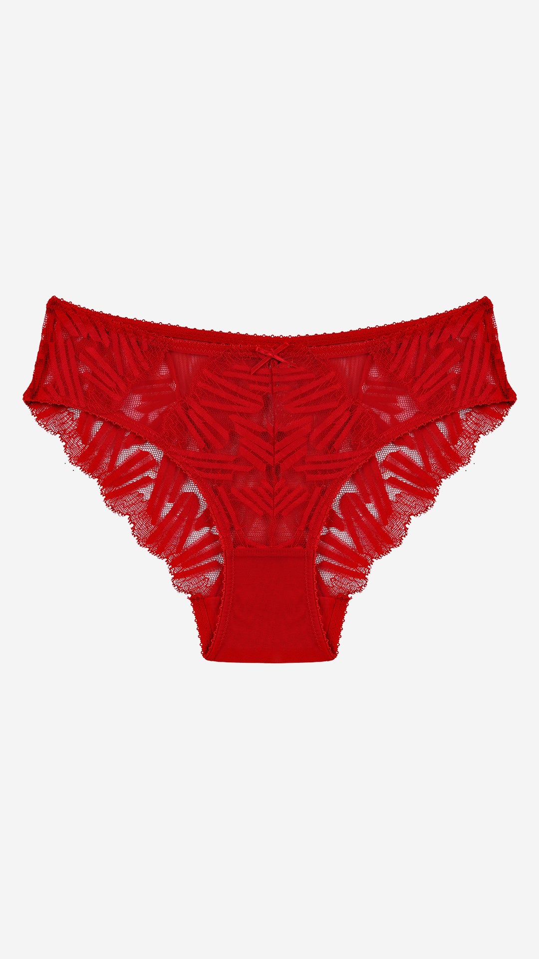 Red Sheer Lace Classic Panty