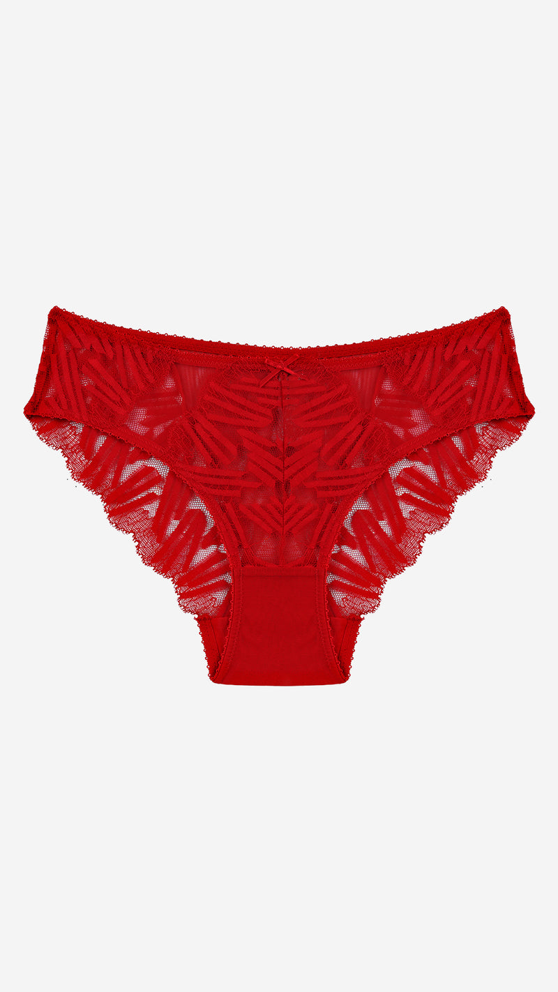 Red Sheer Lace Classic Panty