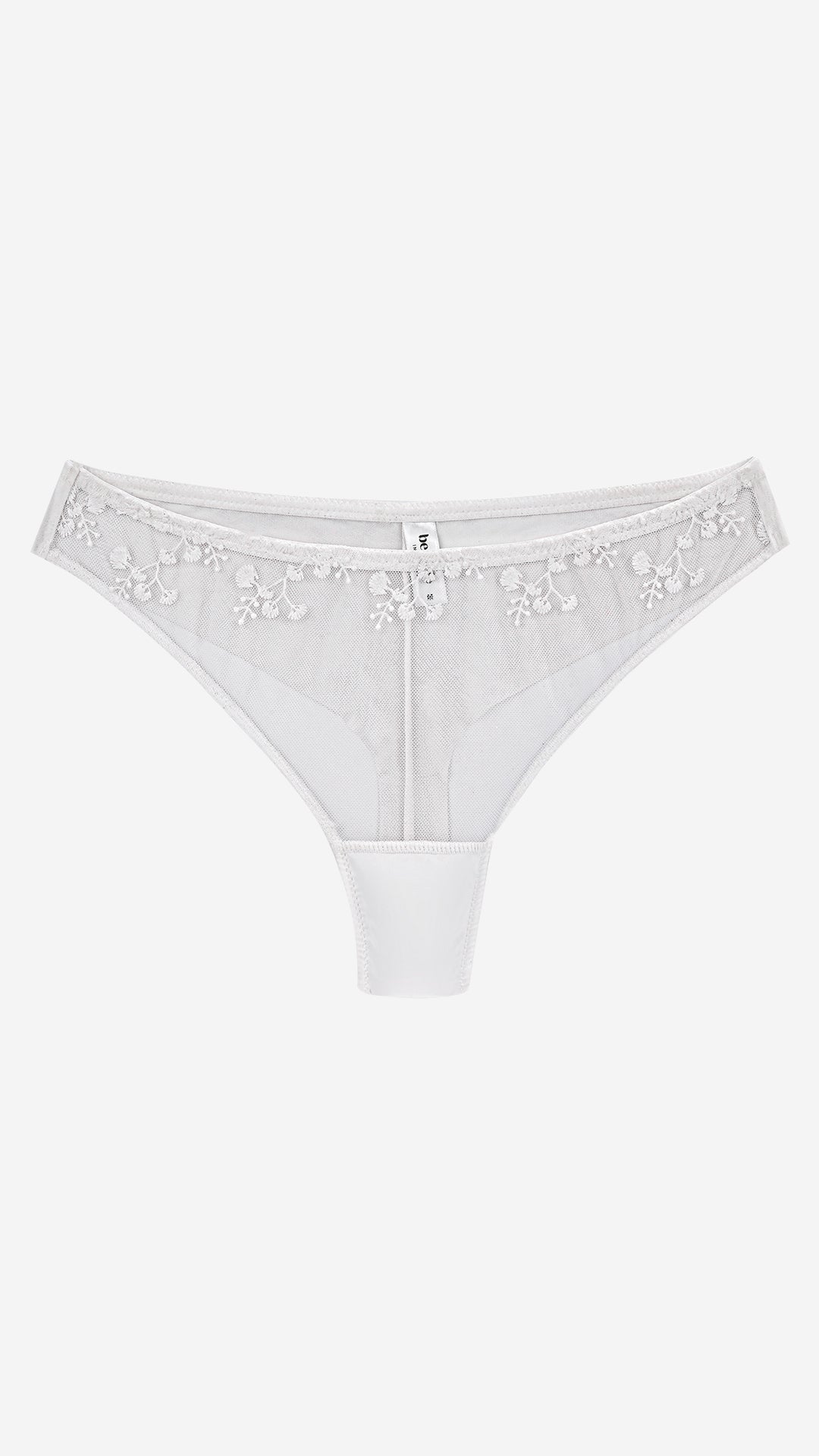 Sheer Net Bikini Panty | Floral Embroidered Mesh Brief