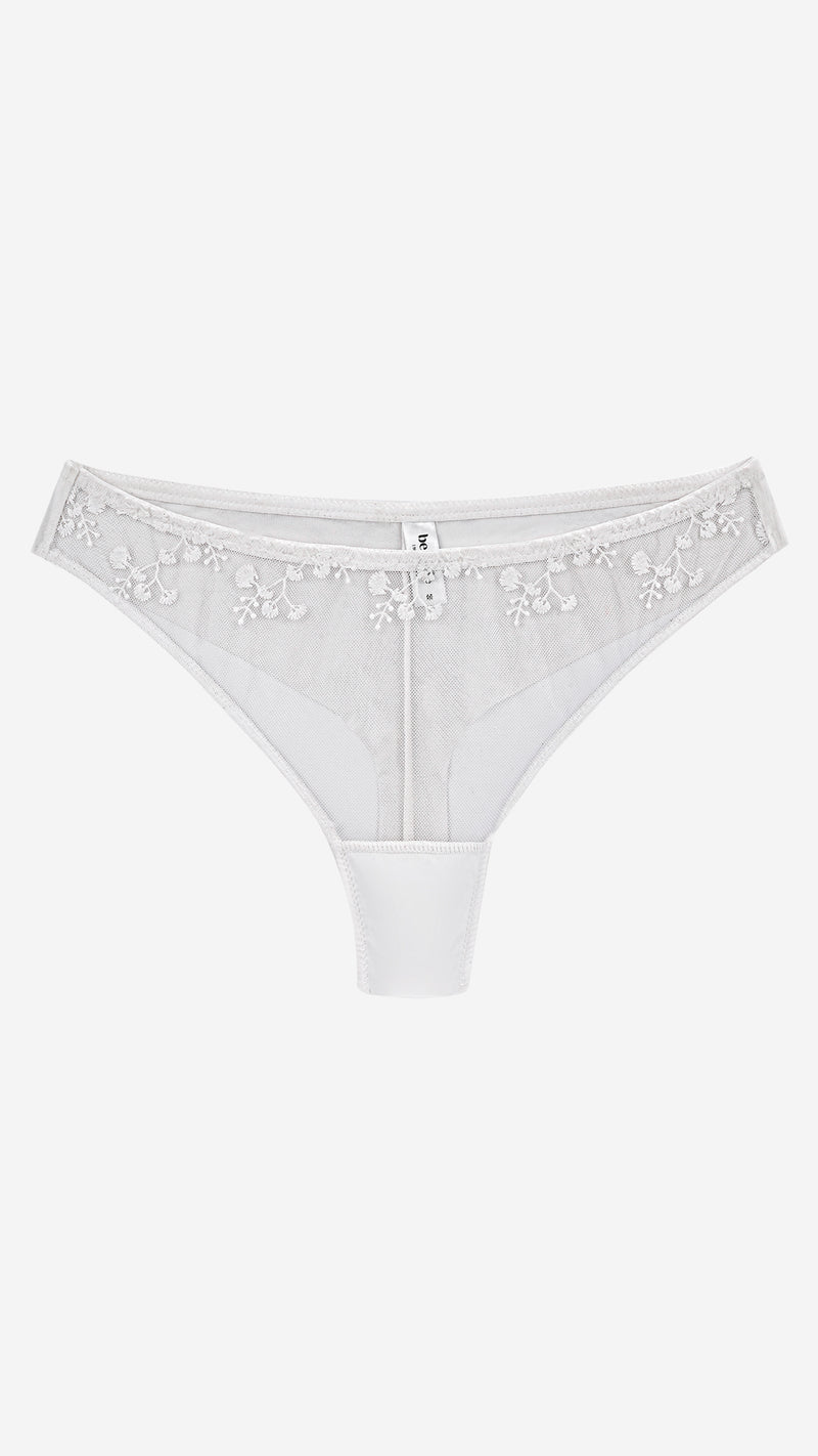 Sheer Net Bikini Panty | Floral Embroidered Mesh Brief