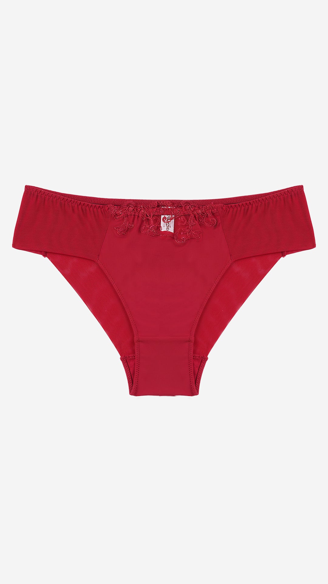 Red Lace Sheer Panel Classic Brief