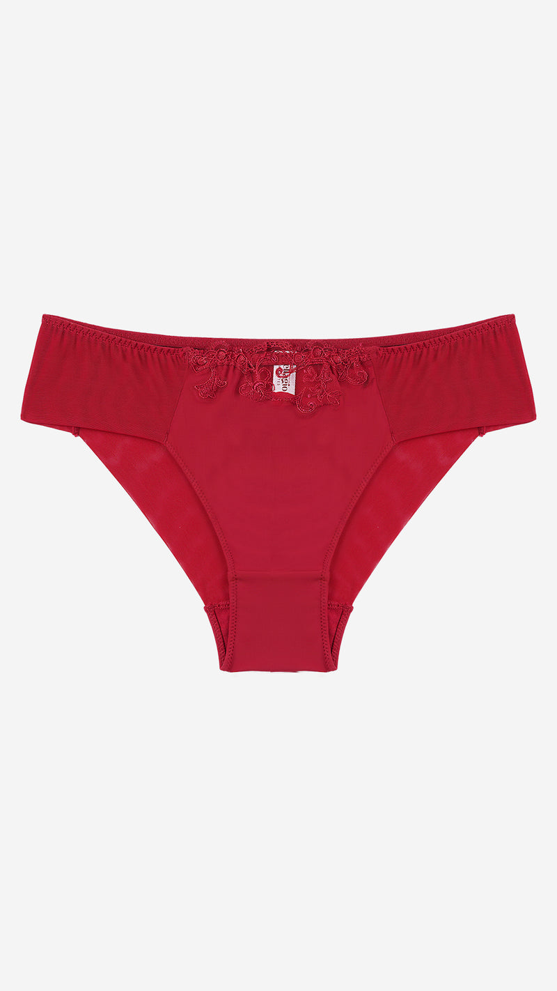 Red Lace Sheer Panel Classic Brief