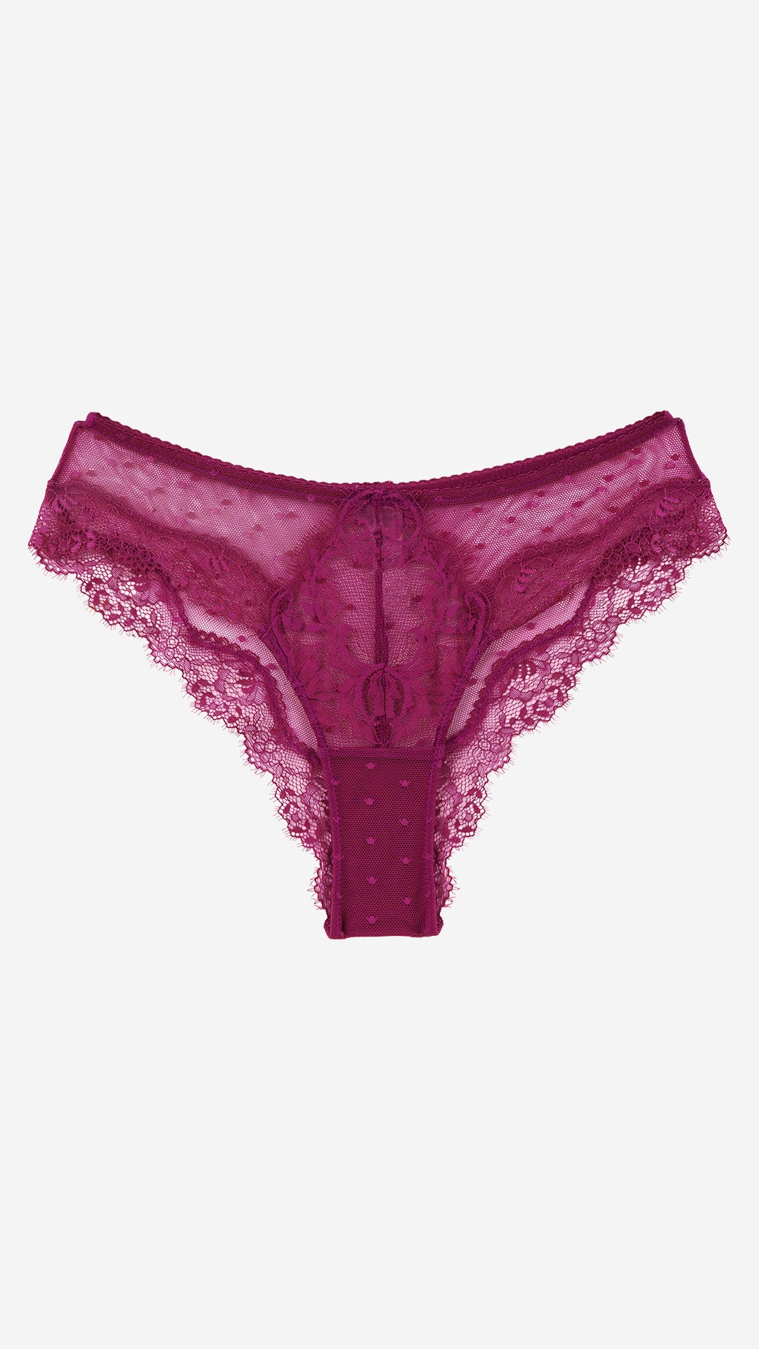 Magenta Sheer Lace Classic Brief