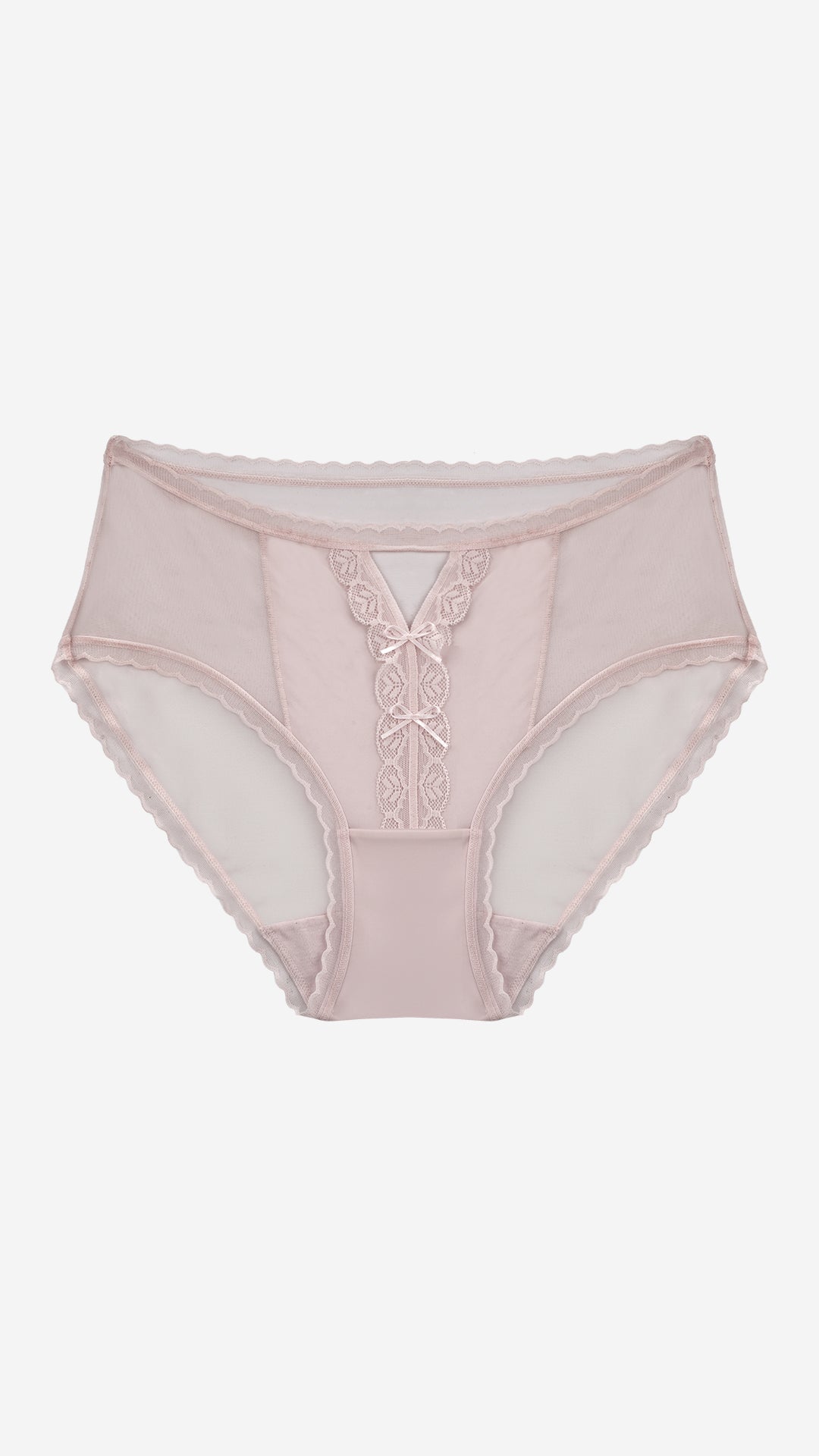Sheer Mesh Floral Lace V-Front Brief | Romantic Panty