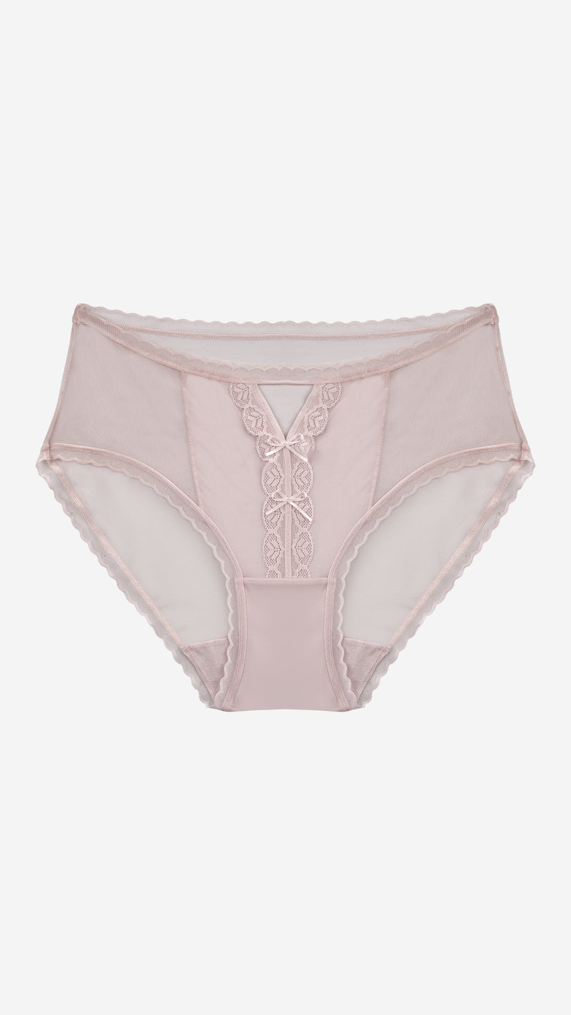 Sheer Mesh Floral Lace V-Front Brief | Romantic Panty