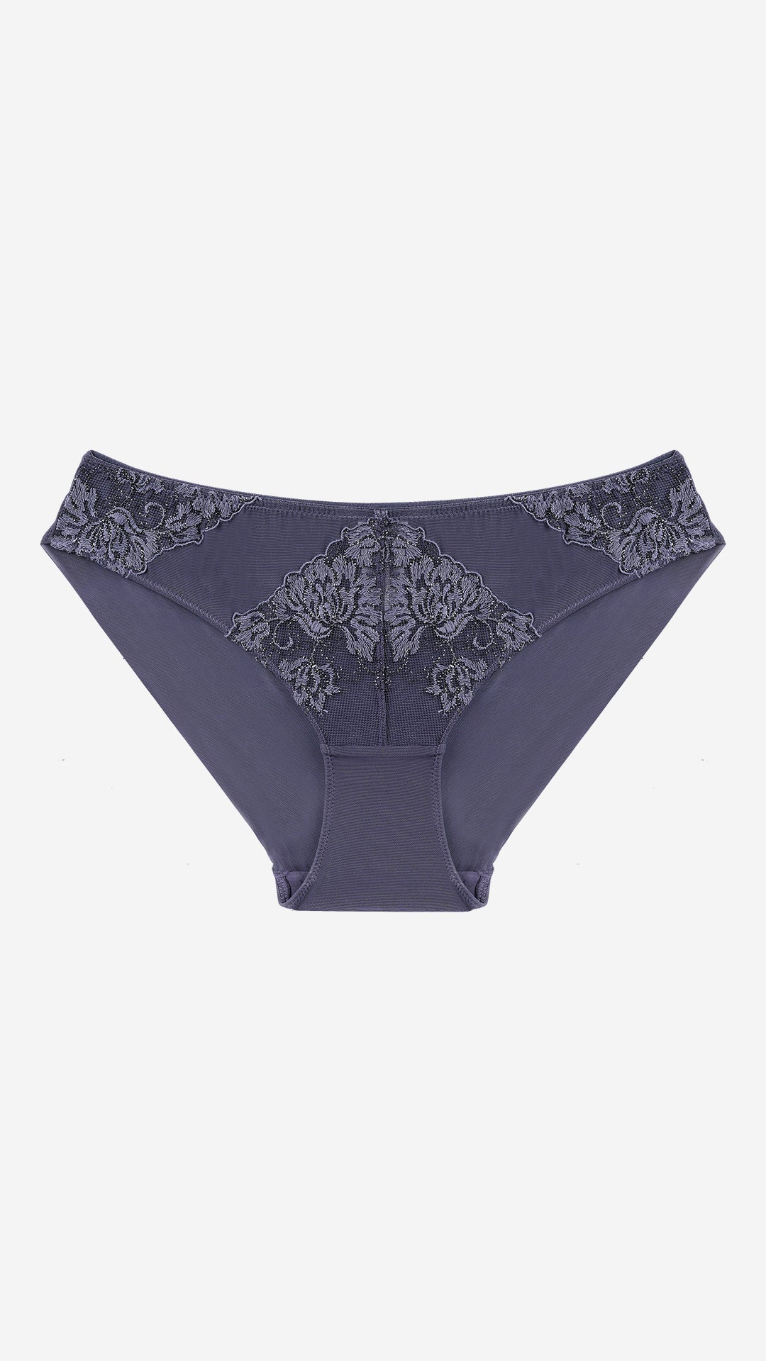 Charcoal Grey Lace Classic Brief – Sheer Mesh
