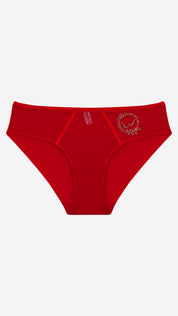 Rhinestone Emblem Sheer Panel Bikini Brief | Bold fashion Panty