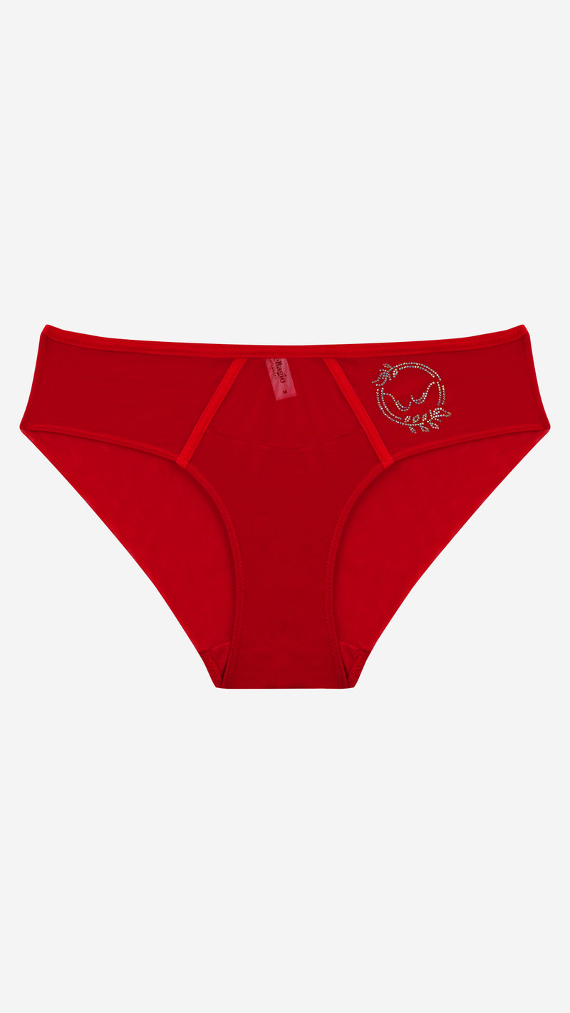 Rhinestone Emblem Sheer Panel Bikini Brief | Bold fashion Panty