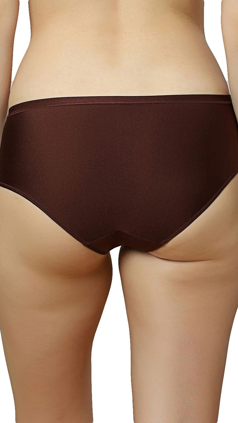 Triumph Brown Hipster High Waist Panty