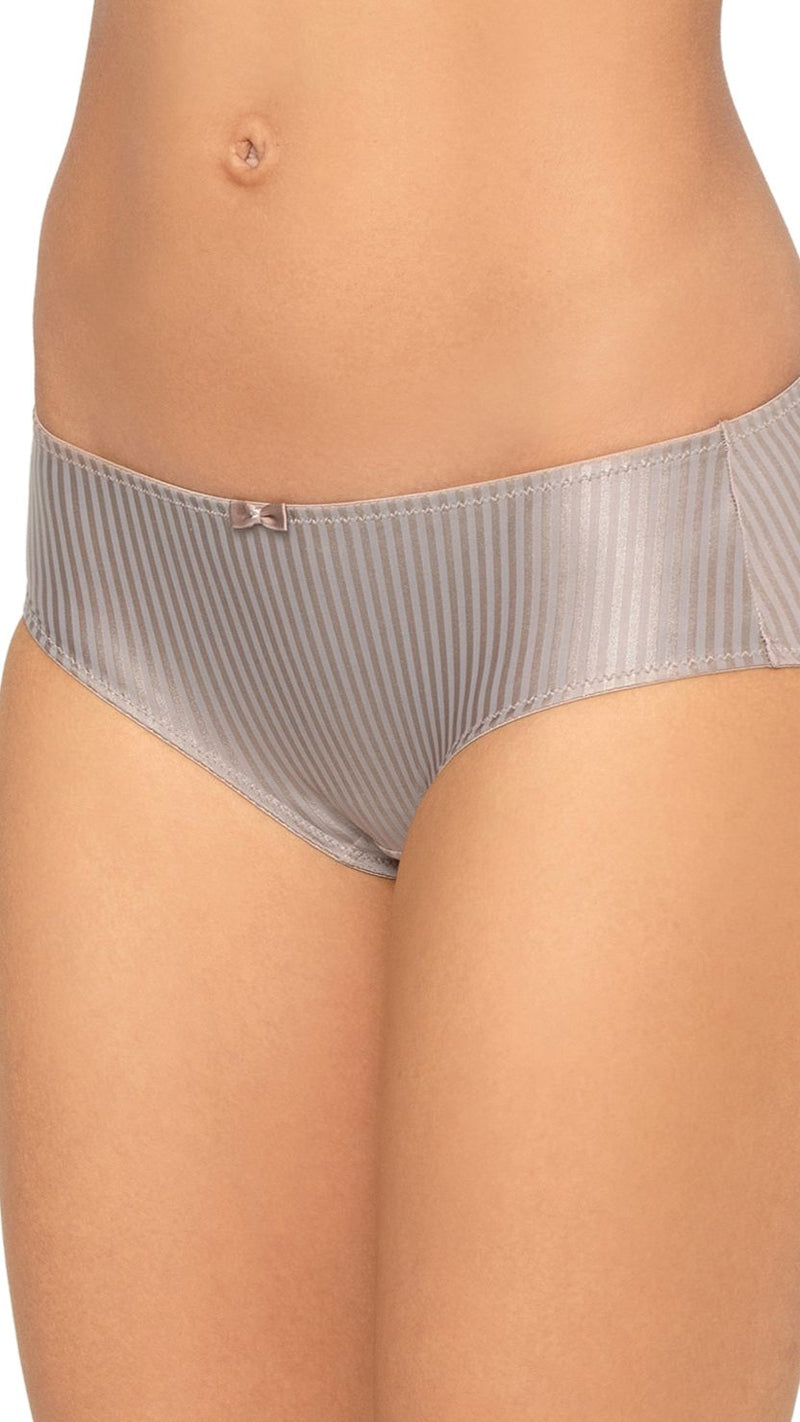 Triumph Grey Striped Everyday Mid-Rise Hipster Briefs