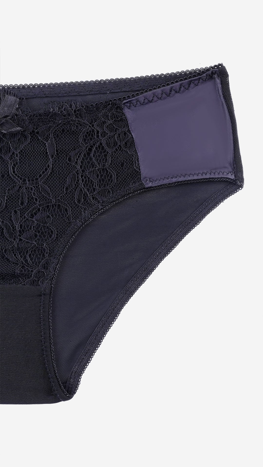 Graphite Lace Sheer Classic Panty