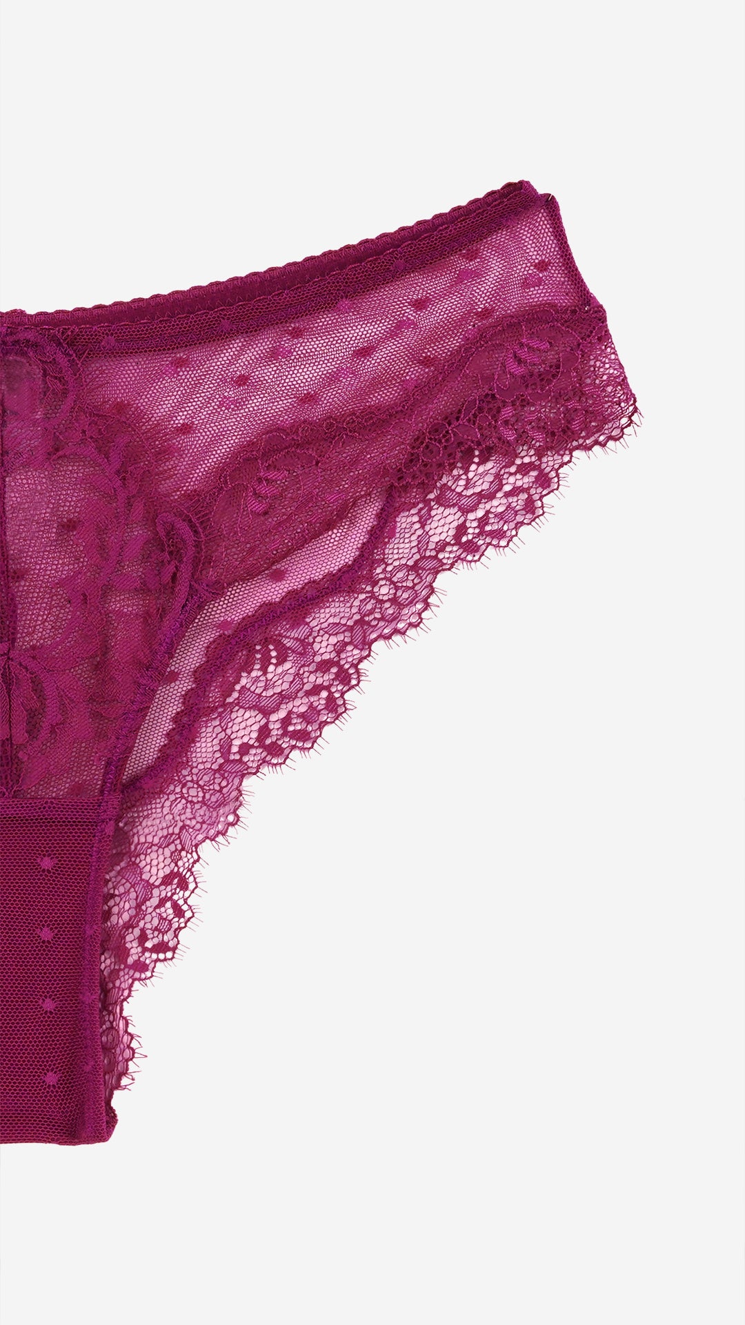 Magenta Sheer Lace Classic Brief