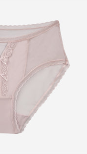 Sheer Mesh Floral Lace V-Front Brief | Romantic Panty