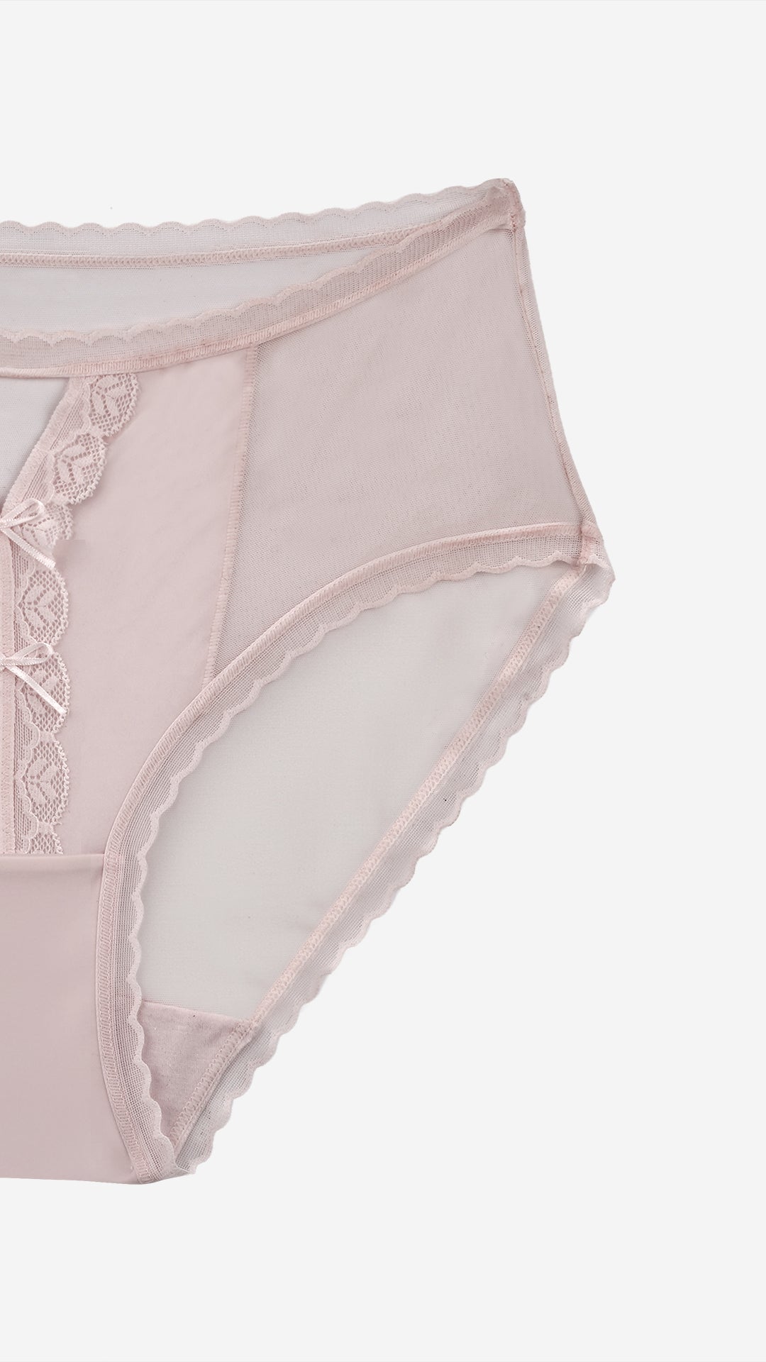 Sheer Mesh Floral Lace V-Front Brief | Romantic Panty