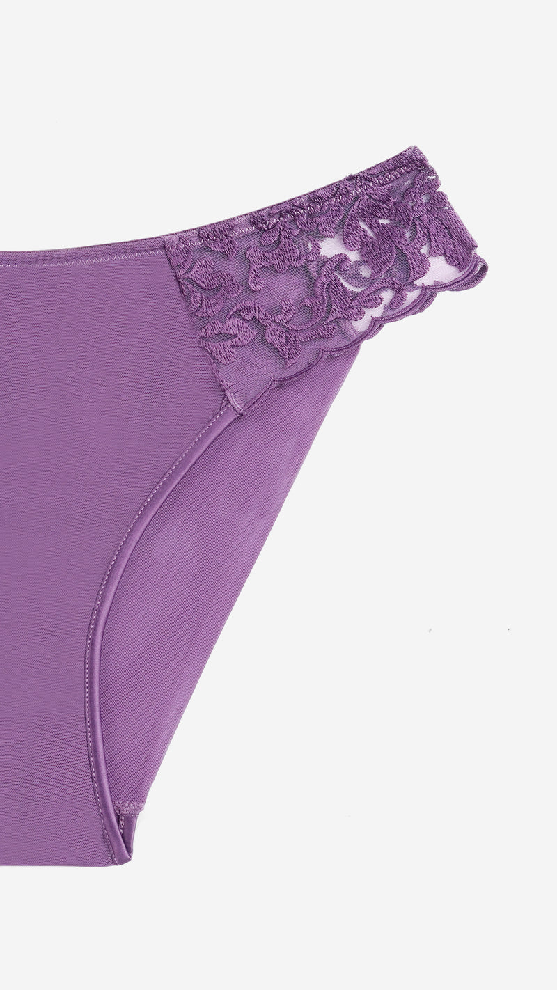 Plum Lace Classic Brief – Sheer Mesh Panty