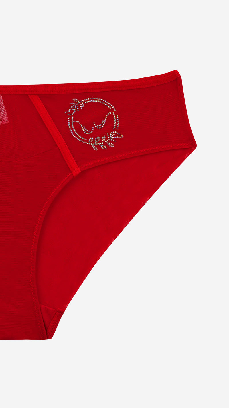 Rhinestone Emblem Sheer Panel Bikini Brief | Bold fashion Panty