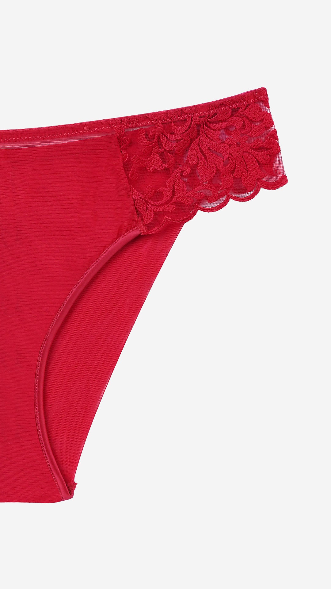 Red Sheer Lace Classic Brief