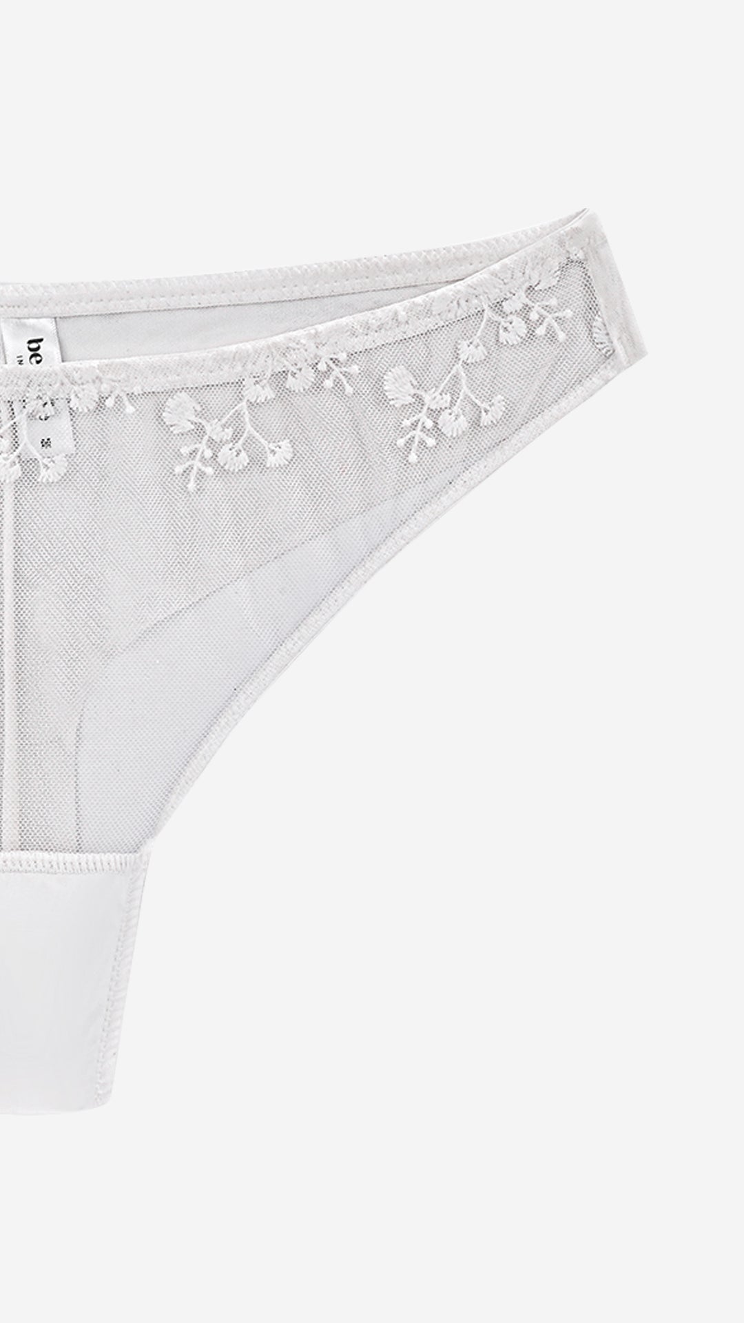 Sheer Net Bikini Panty | Floral Embroidered Mesh Brief