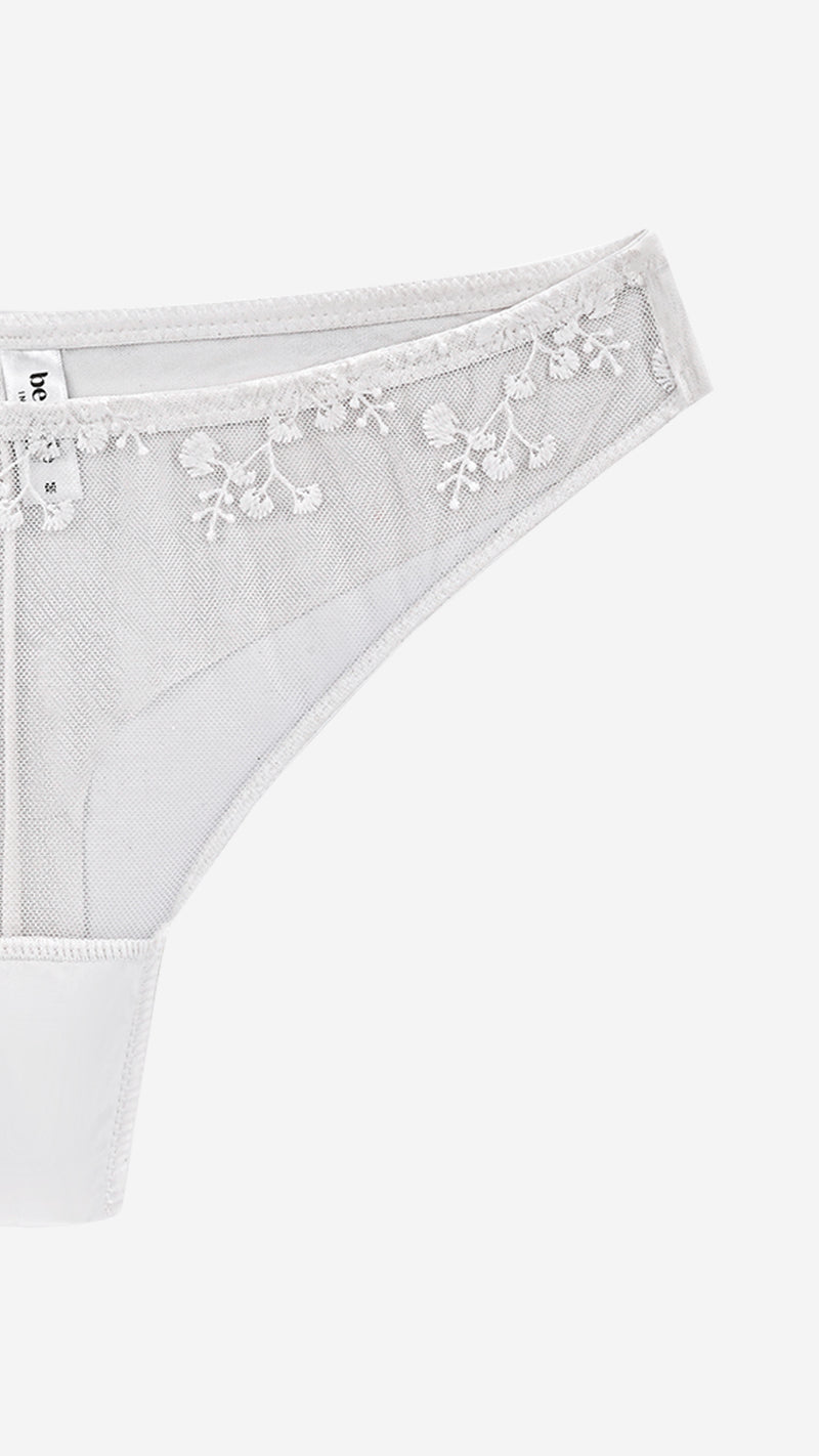 Sheer Net Bikini Panty | Floral Embroidered Mesh Brief